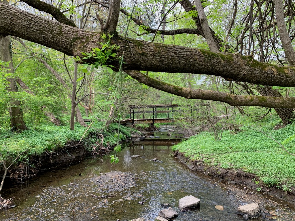 This image has an empty alt attribute; its file name is img_4064.jpeg